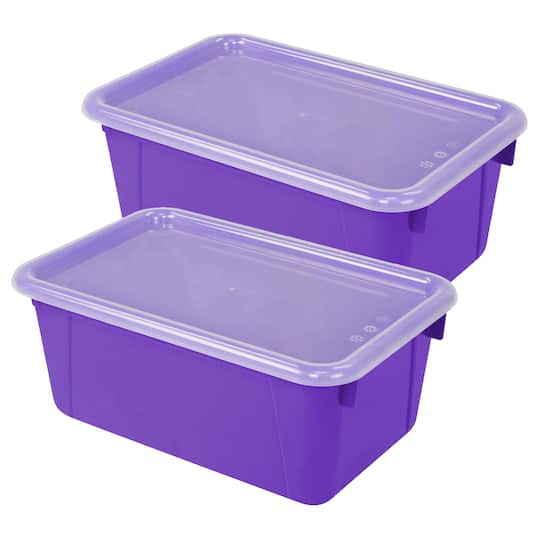 Storex Small Cubby Bin with Cover